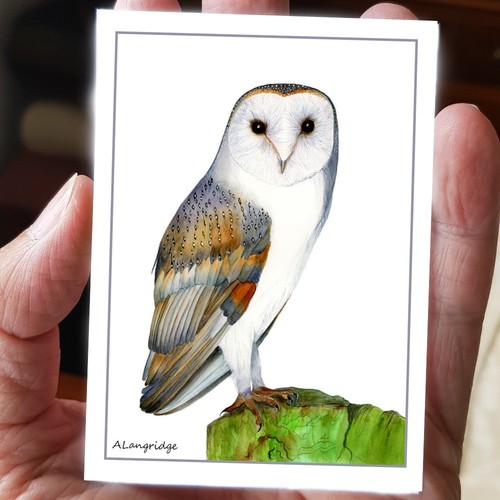 Original wildlife miniature - original,