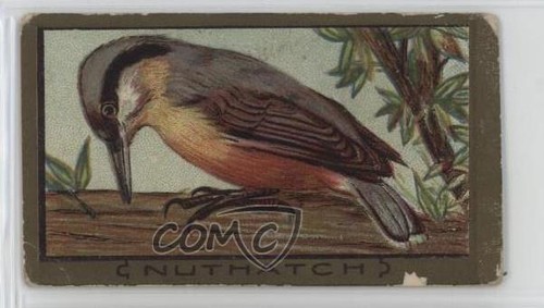 1910 atc bird series - 1910,