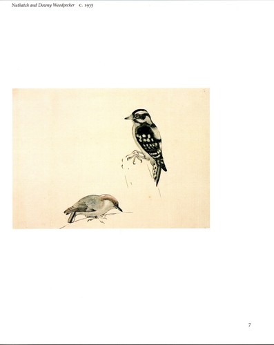 Nuthatch downy woodpecker - nuthatch,