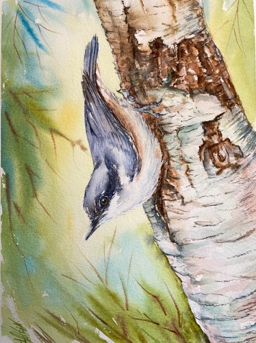 Nuthatch bird tree - bird, day