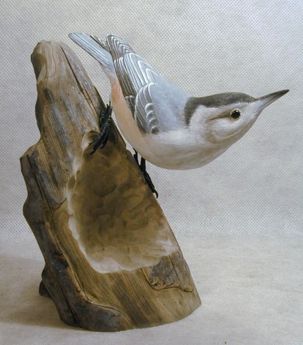 White breasted nuthatch - white-breasted,