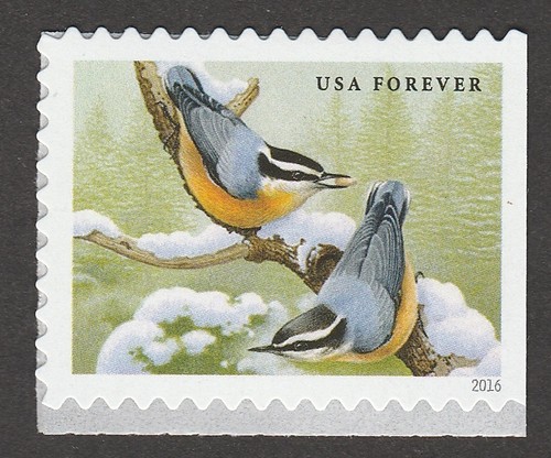 5129 songbirds snow - 5129, in