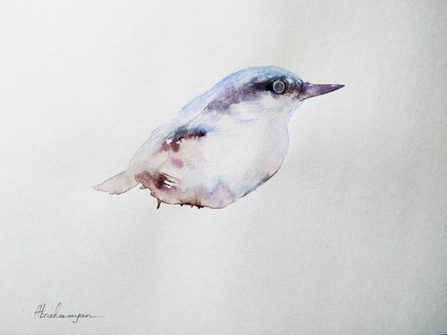 Nuthatch birds watercolor - nuthatch, birds,