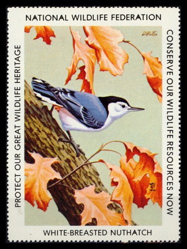 National wildlife federation - national,