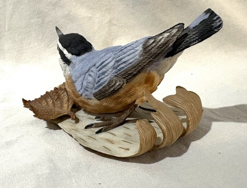 Lenox nuthatch - lenox,